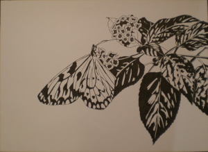una farfalla Idea Leuconoe su un fiore